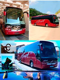 Autocares Ángel buses
